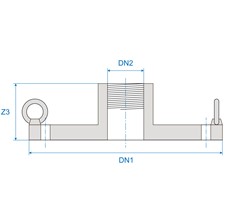 Blanking Flange With Threaded Off Take